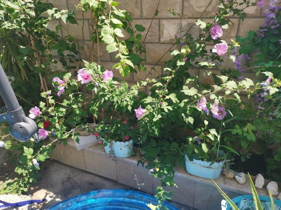 Makarska Blue Oasis Apartman 2-6 外观 照片