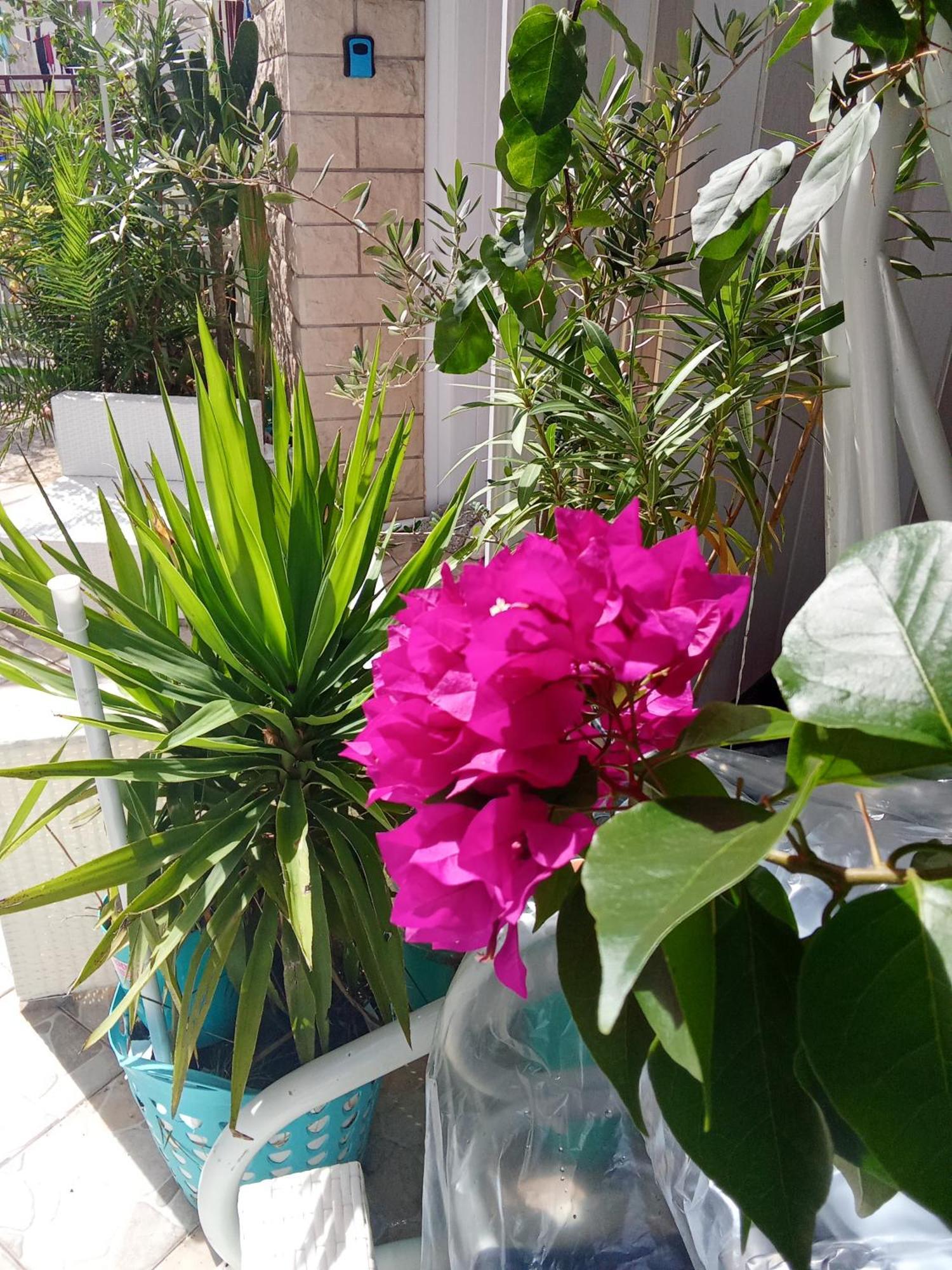 Makarska Blue Oasis Apartman 2-6 外观 照片