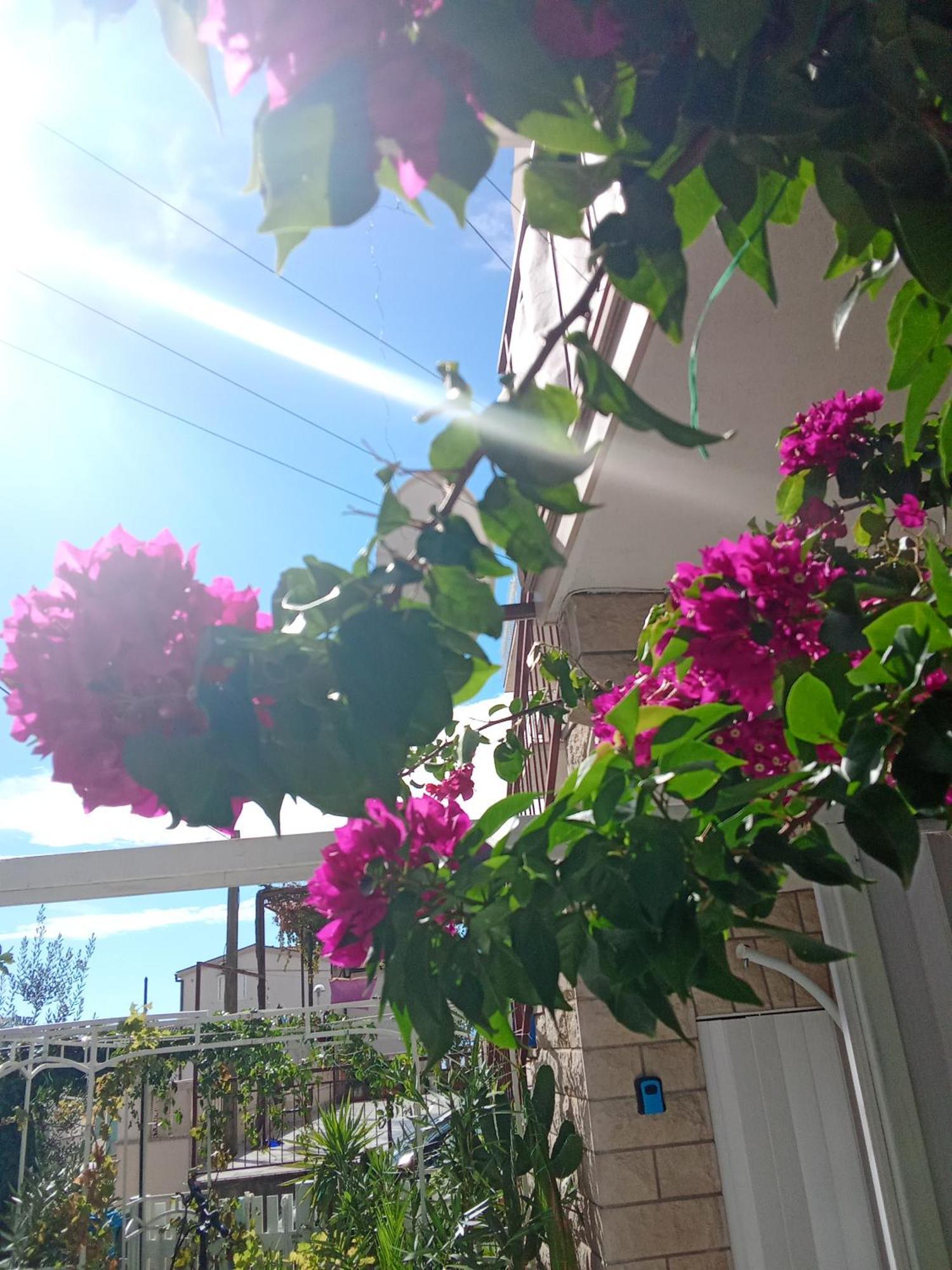 Makarska Blue Oasis Apartman 2-6 外观 照片